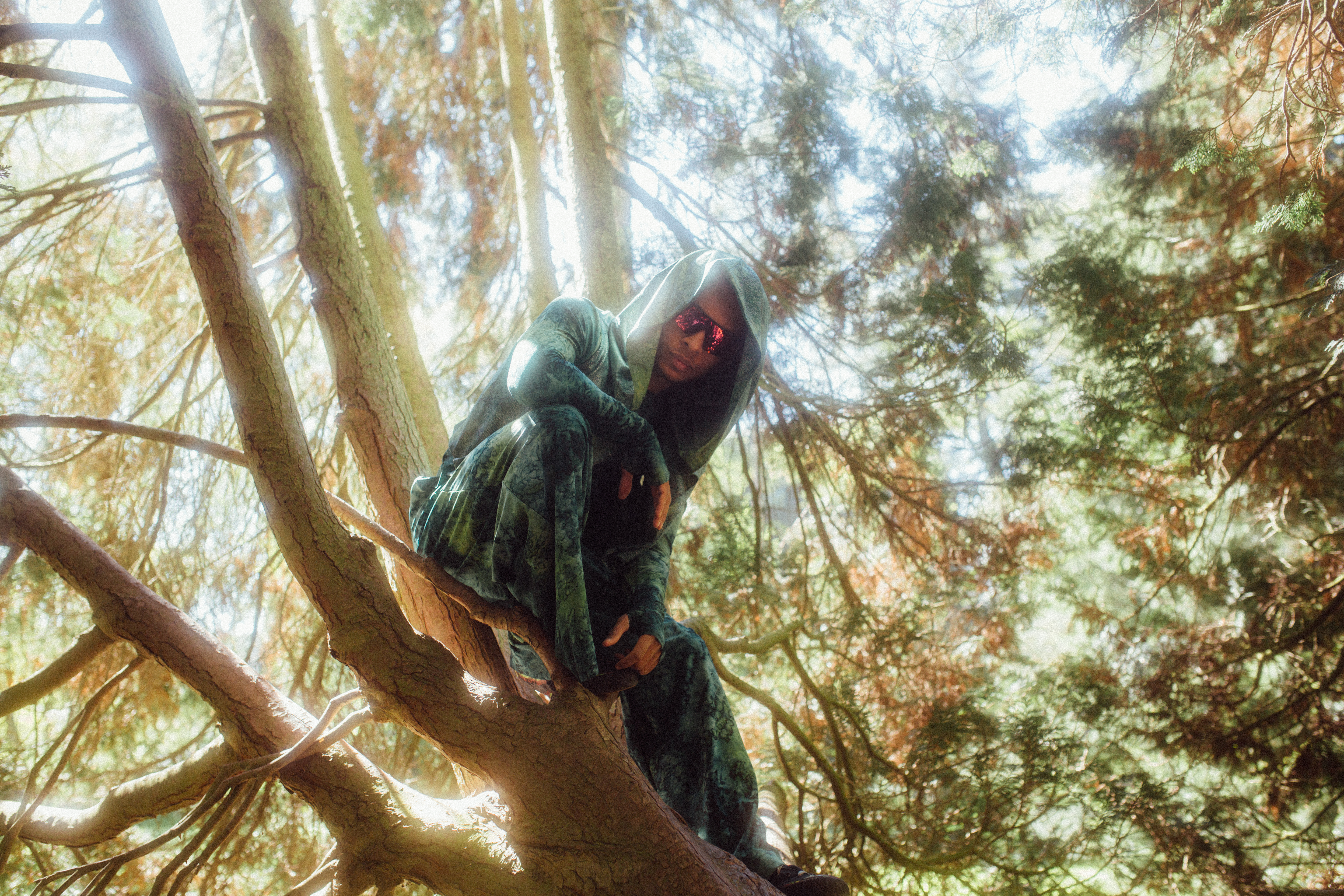 ROBIN HOOD - DIE GERECHTIGKEIT STEHT IM WALD/UA